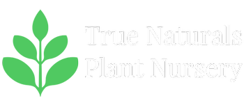 True Naturals Plant Nursery Plant Nursery Garden ready plants Starter plants